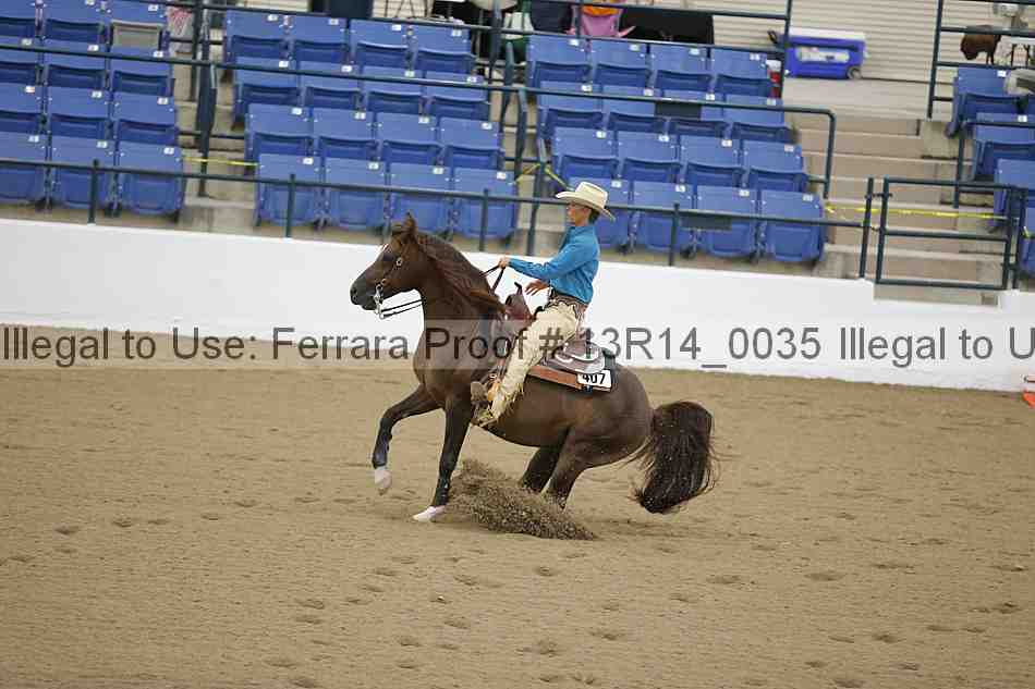 Proof Number 13r14_0035