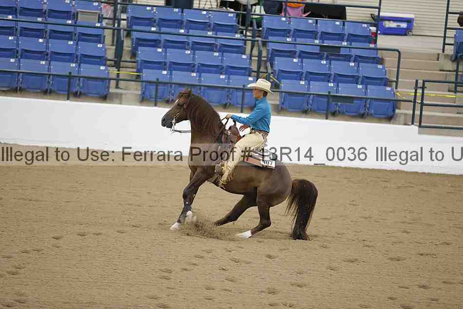 Proof Number 13r14_0036