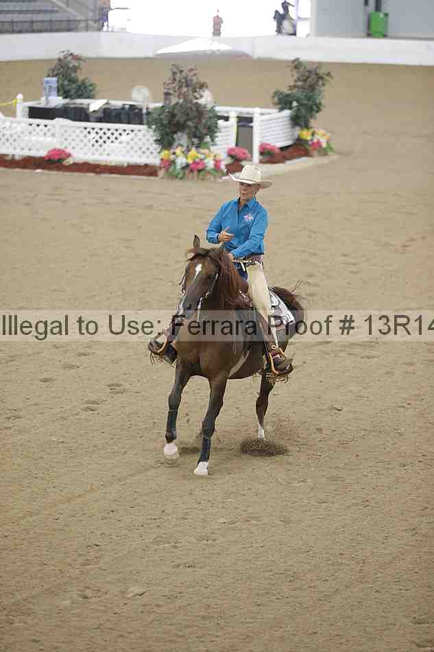 Proof Number 13r14_0037