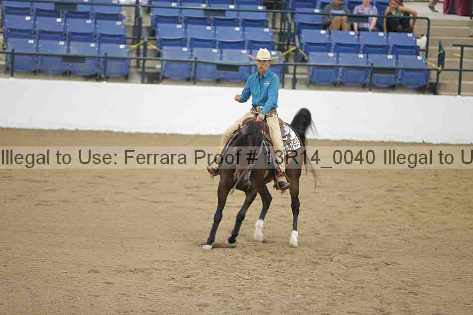 Proof Number 13r14_0040