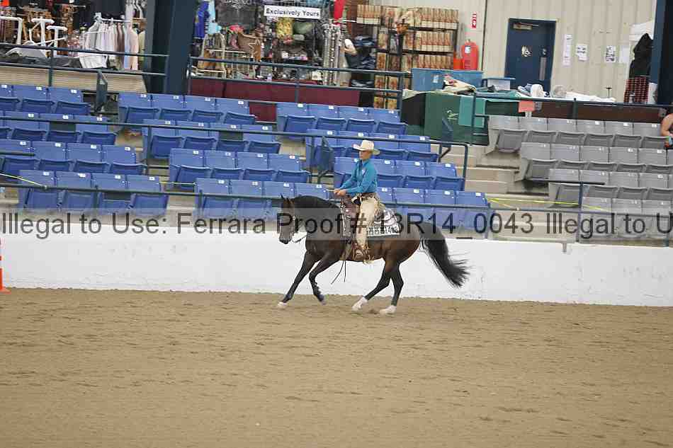 Proof Number 13r14_0043