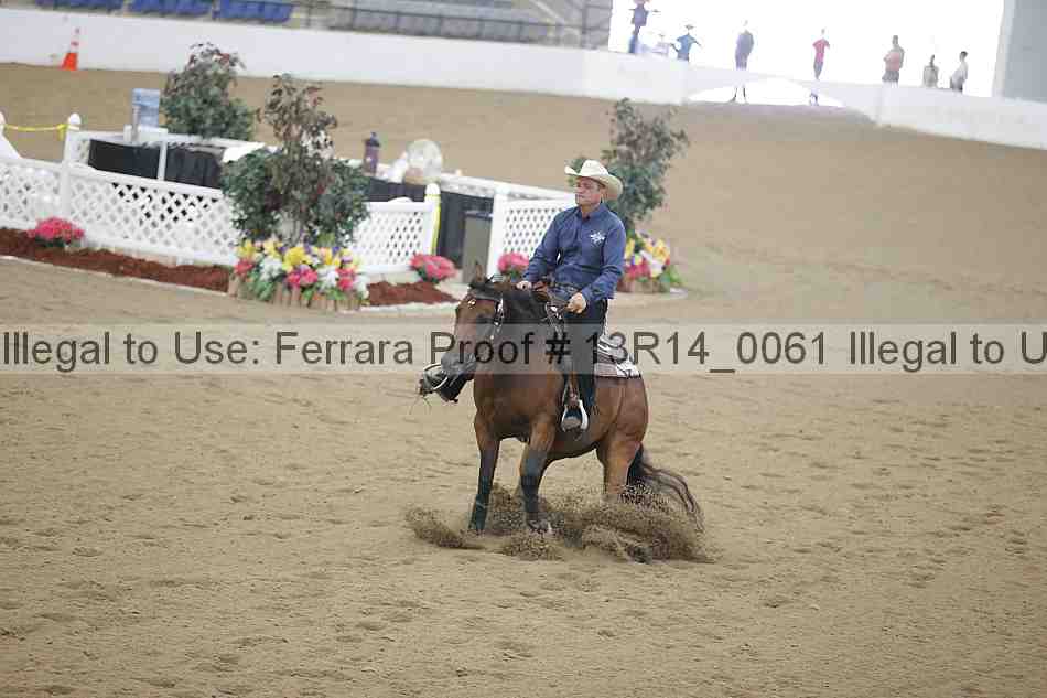 Proof Number 13r14_0061