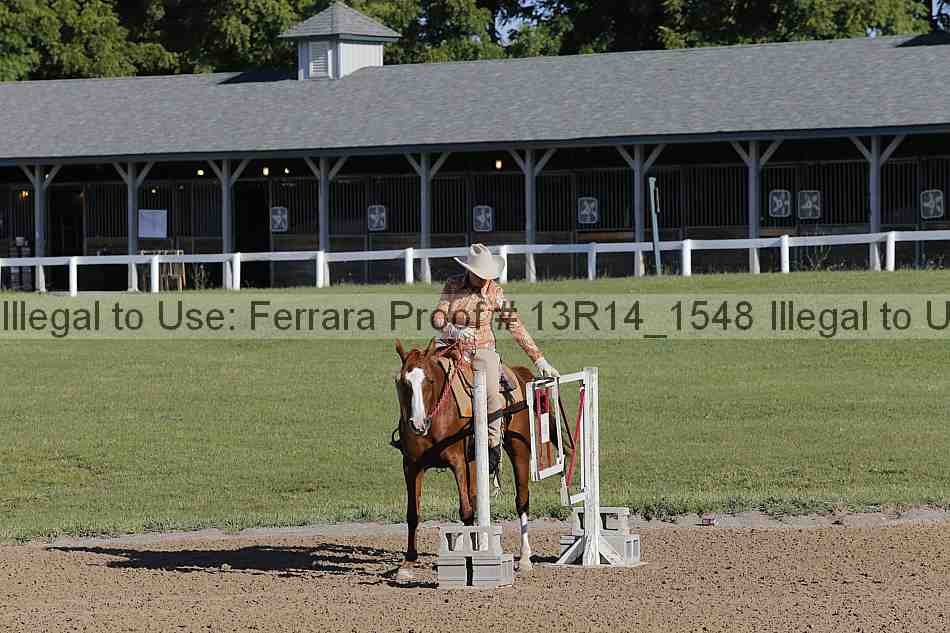 Proof Number 13r14_1548
