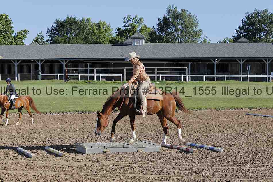 Proof Number 13r14_1555