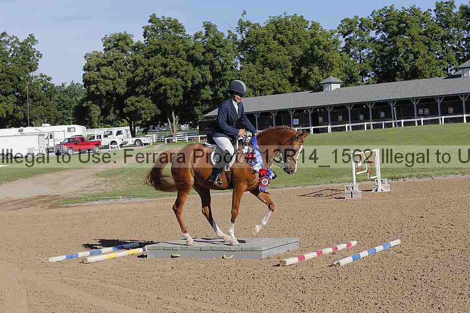 Proof Number 13r14_1562