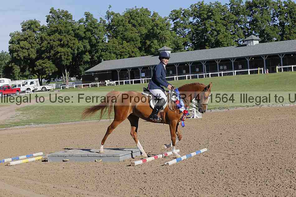 Proof Number 13r14_1564