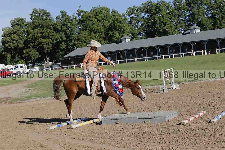 Proof Number 13r14_1568