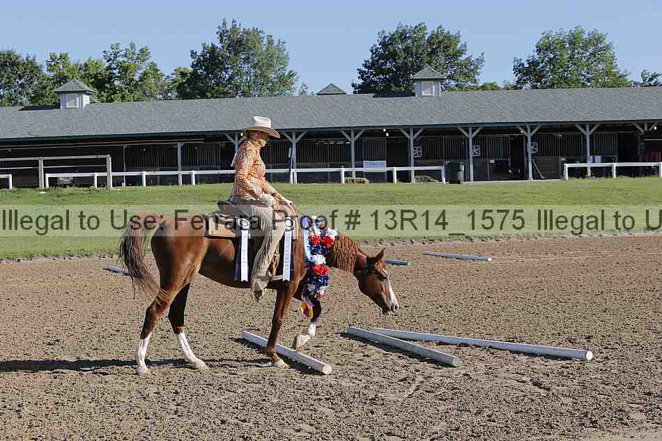 Proof Number 13r14_1575