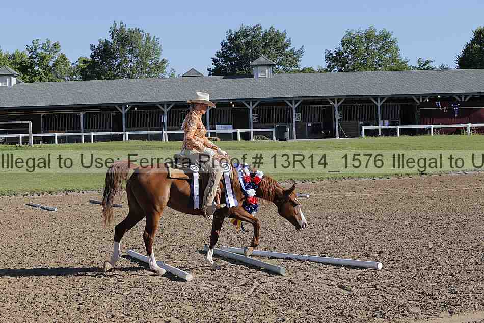 Proof Number 13r14_1576