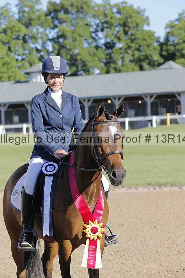 Proof Number 13r14_1580