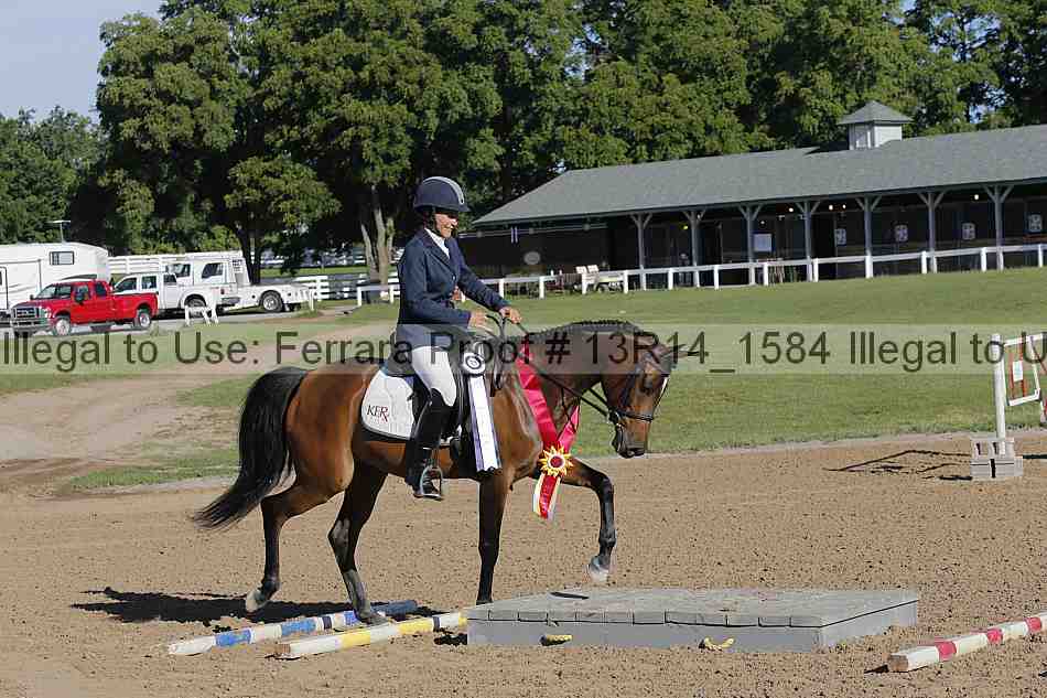 Proof Number 13r14_1584
