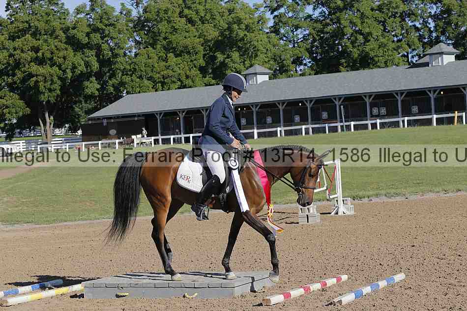 Proof Number 13r14_1586