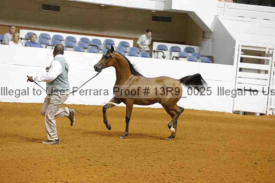 Proof Number 13r9_0025