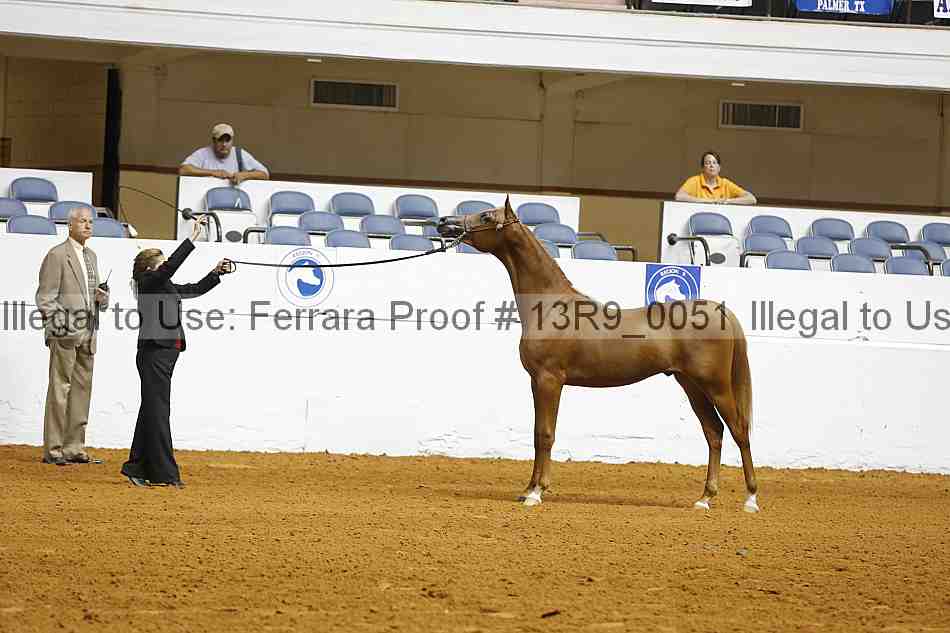Proof Number 13r9_0051