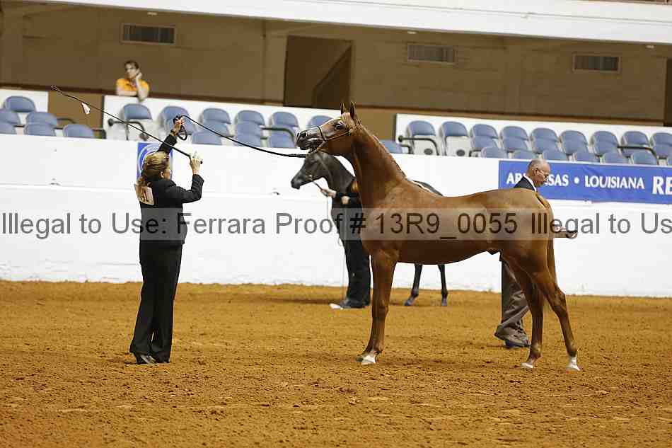 Proof Number 13r9_0055