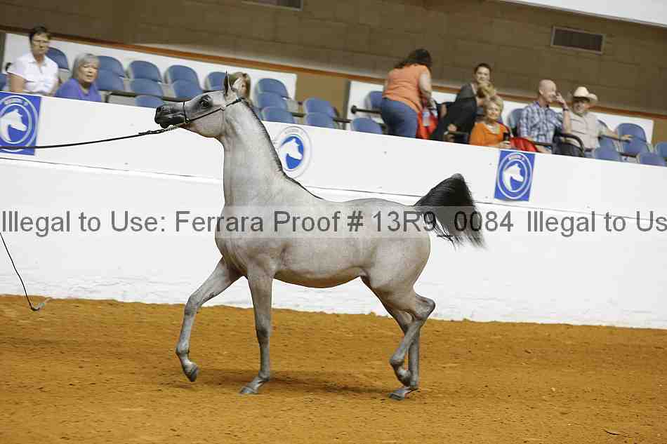 Proof Number 13r9_0084