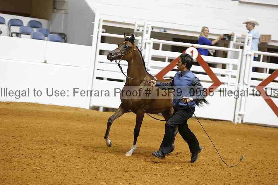 Proof Number 13r9_0085