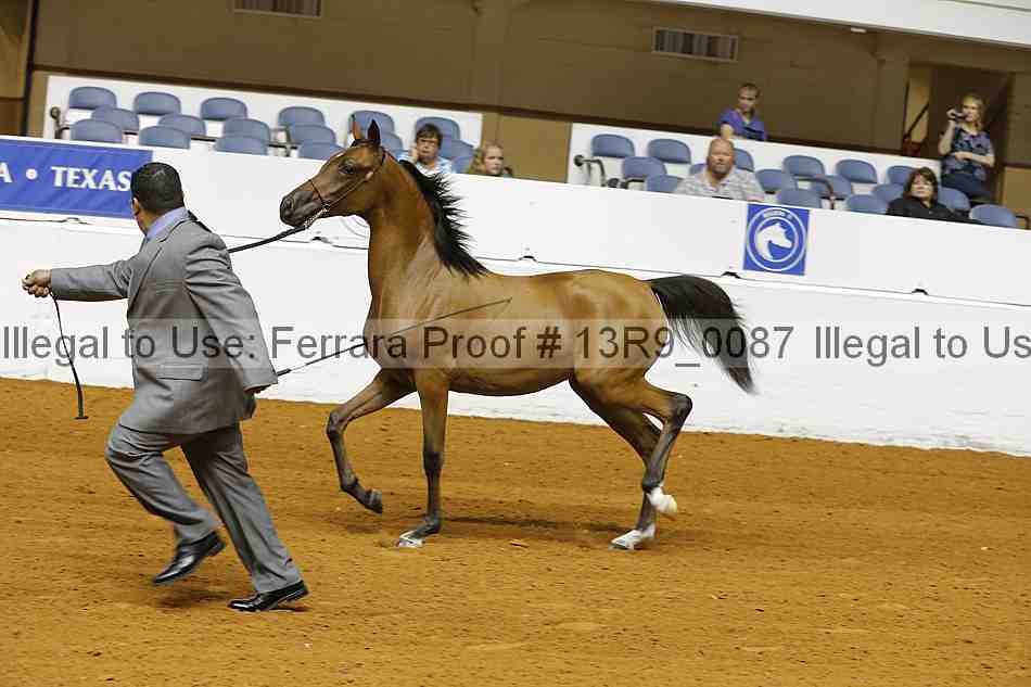 Proof Number 13r9_0087