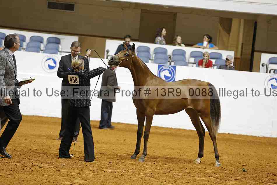 Proof Number 13r9_0088