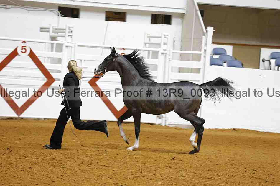 Proof Number 13r9_0093