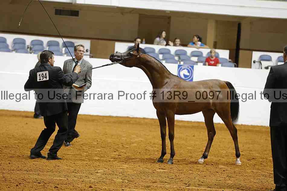 Proof Number 13r9_0097