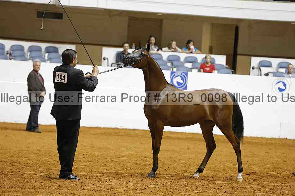 Proof Number 13r9_0098
