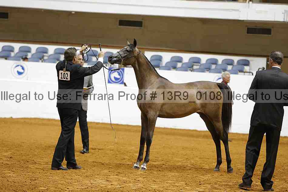 Proof Number 13r9_0108