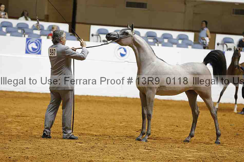 Proof Number 13r9_0118