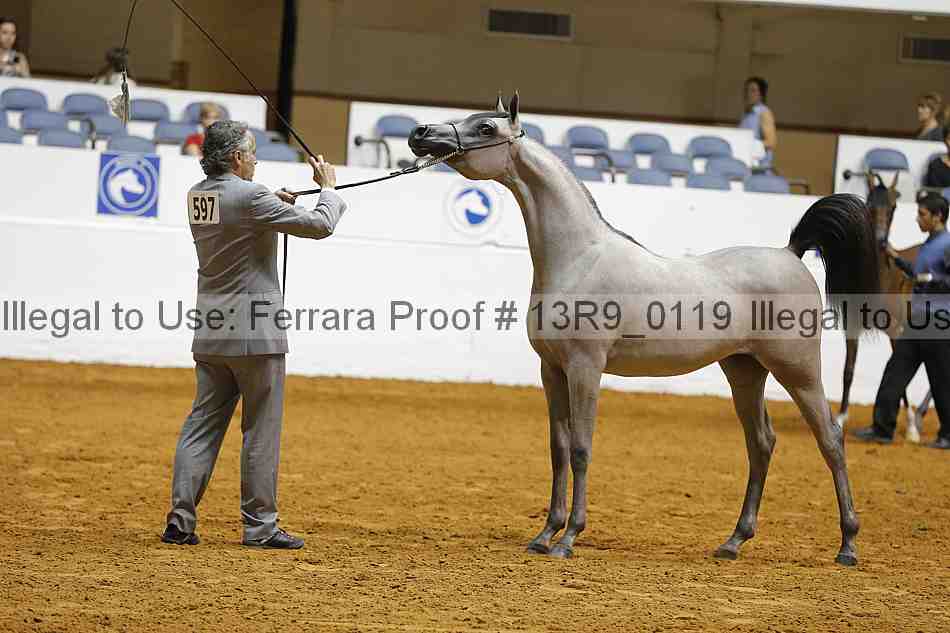 Proof Number 13r9_0119