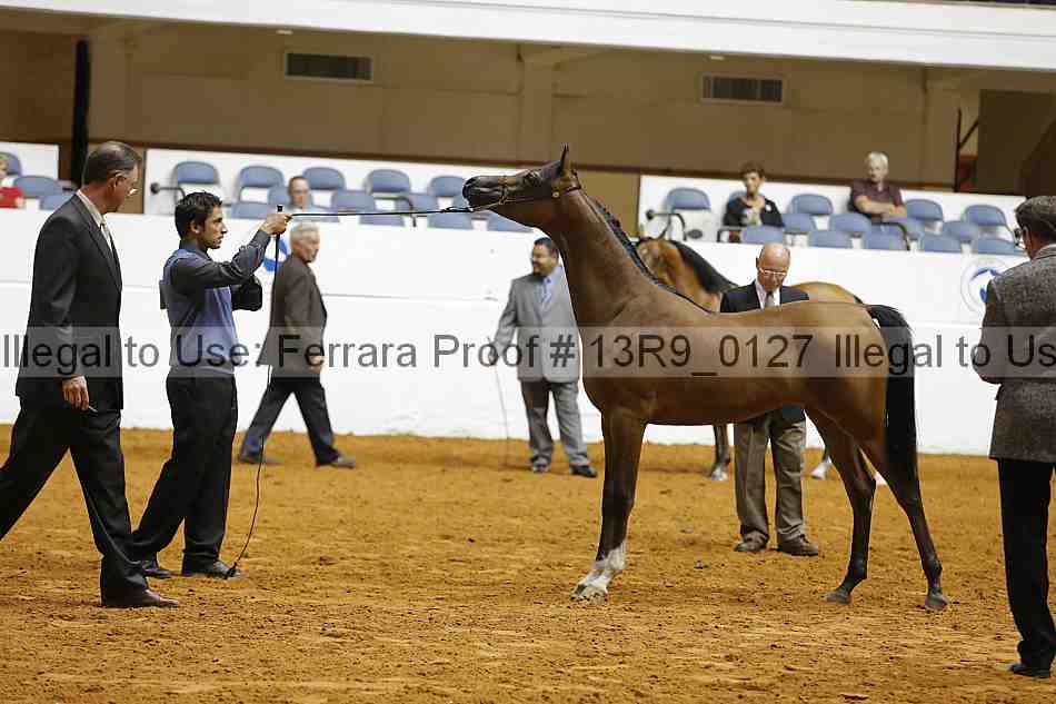 Proof Number 13r9_0127