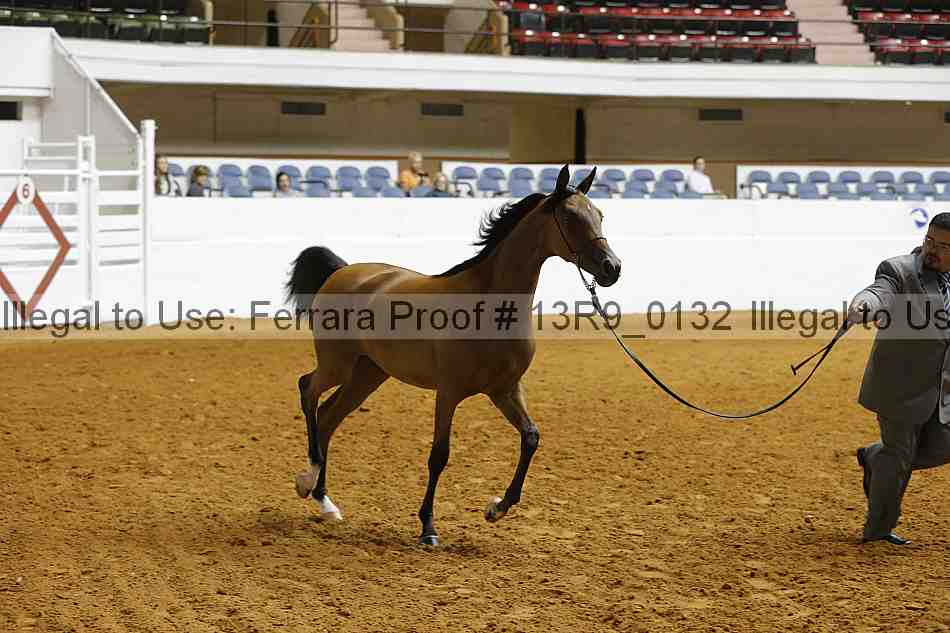 Proof Number 13r9_0132