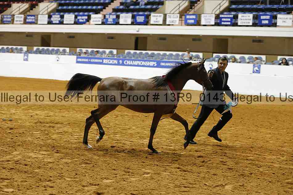 Proof Number 13r9_0143