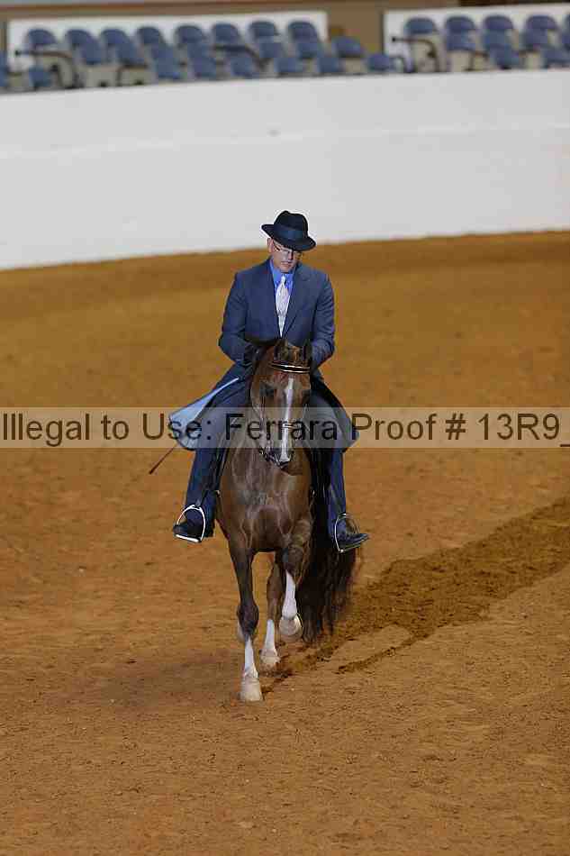 Proof Number 13r9_0156