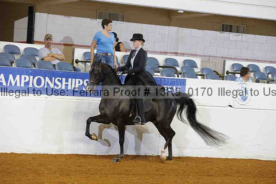 Proof Number 13r9_0170