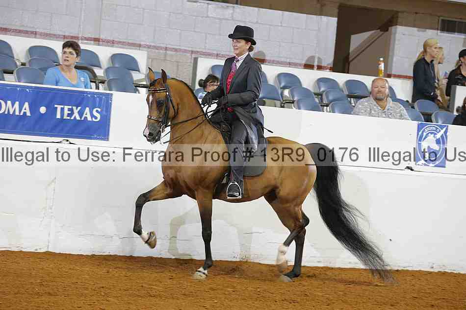 Proof Number 13r9_0176