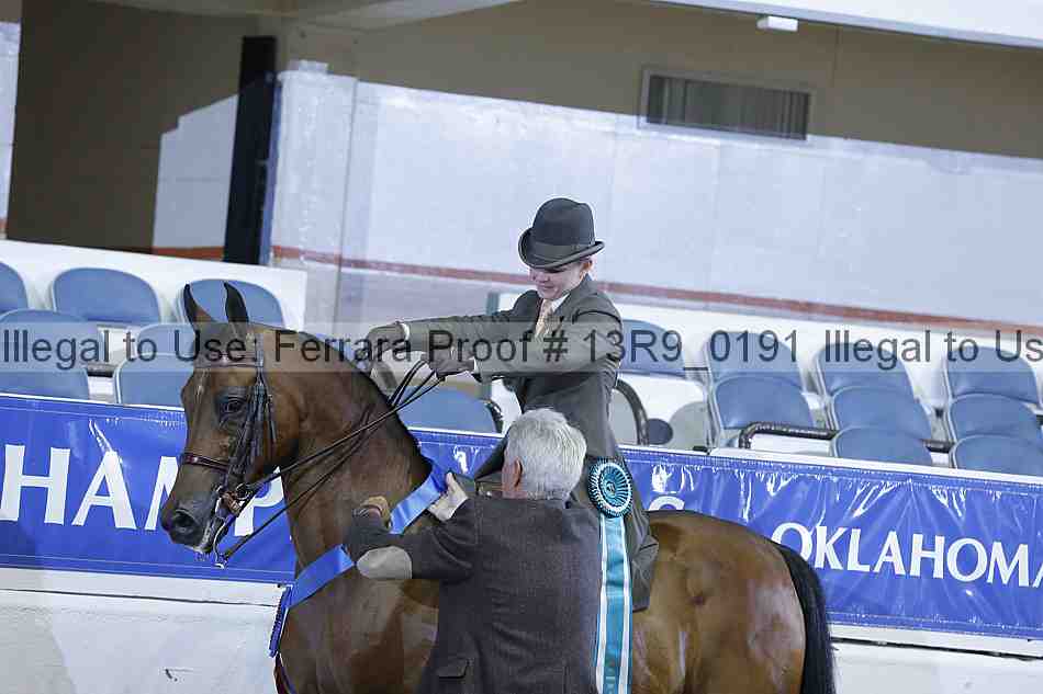 Proof Number 13r9_0191