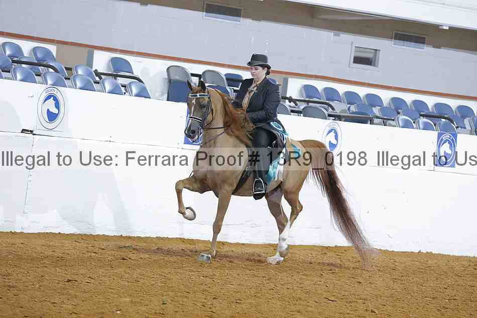 Proof Number 13r9_0198