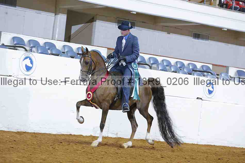 Proof Number 13r9_0206