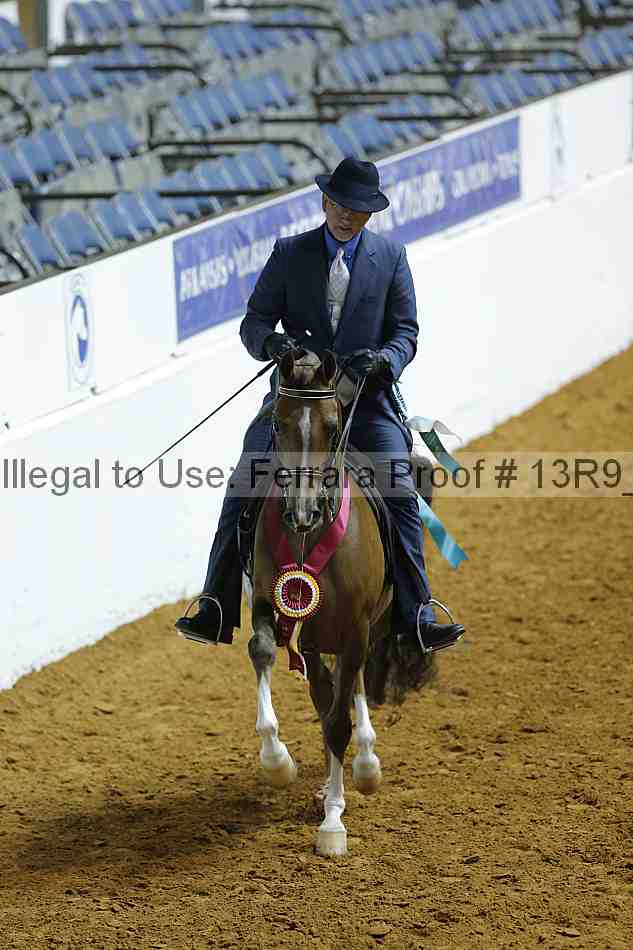 Proof Number 13r9_0213
