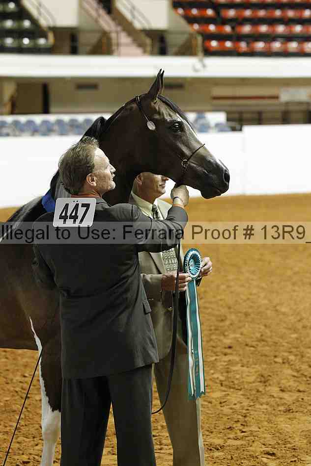 Proof Number 13r9_0115
