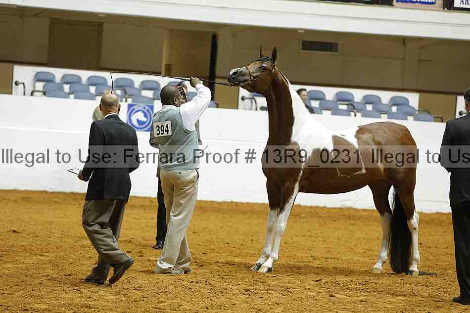 Proof Number 13r9_0231