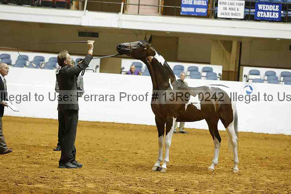 Proof Number 13r9_0242