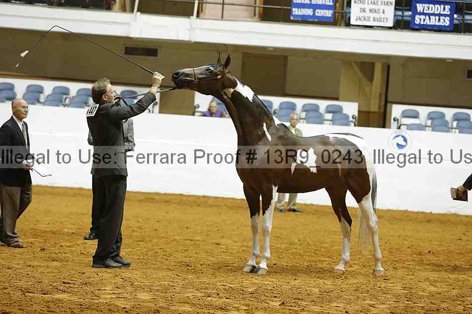 Proof Number 13r9_0243