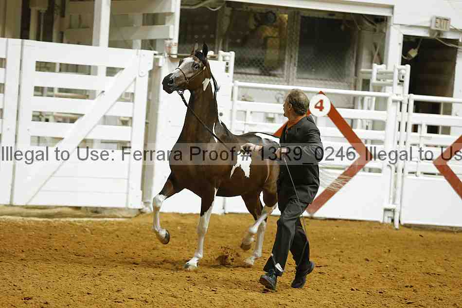 Proof Number 13r9_0246