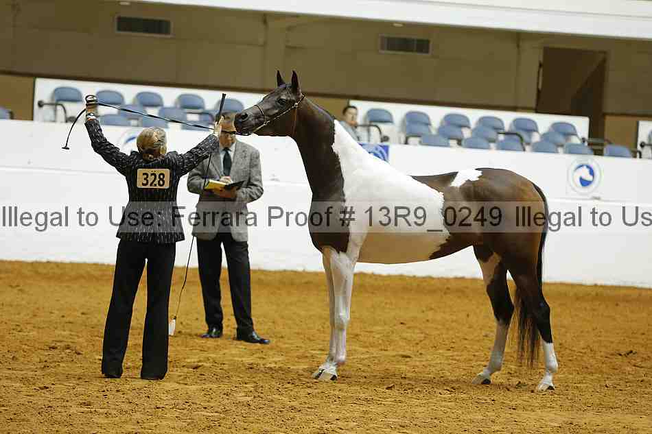 Proof Number 13r9_0249