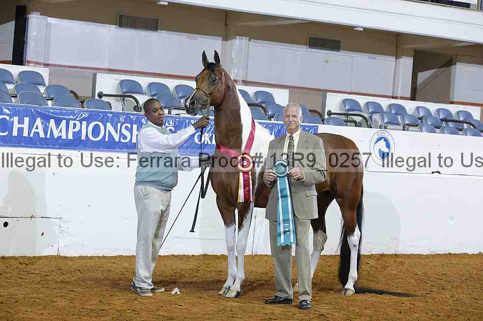 Proof Number 13r9_0257