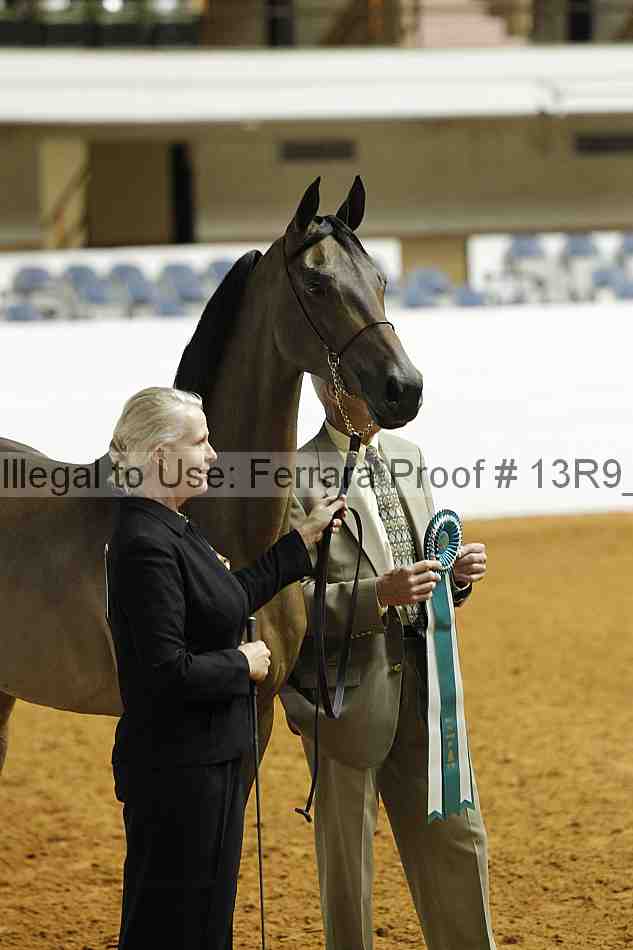 Proof Number 13r9_0181