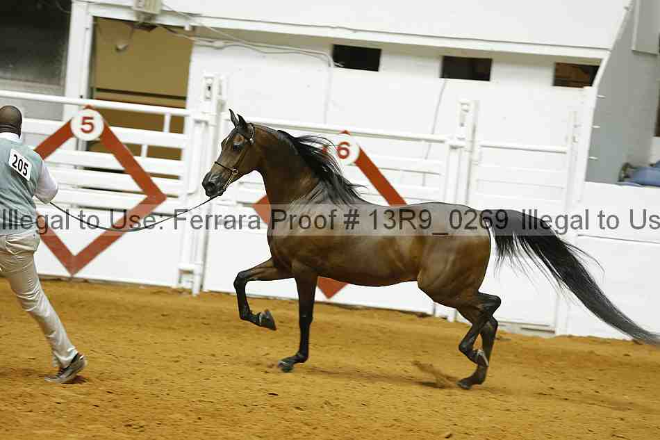 Proof Number 13r9_0269