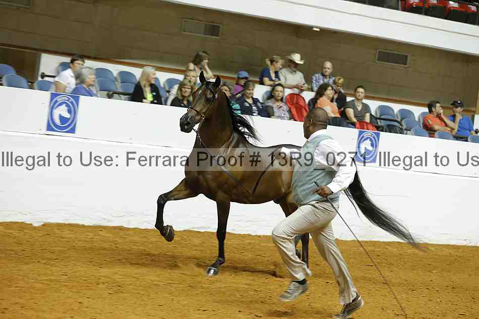 Proof Number 13r9_0271