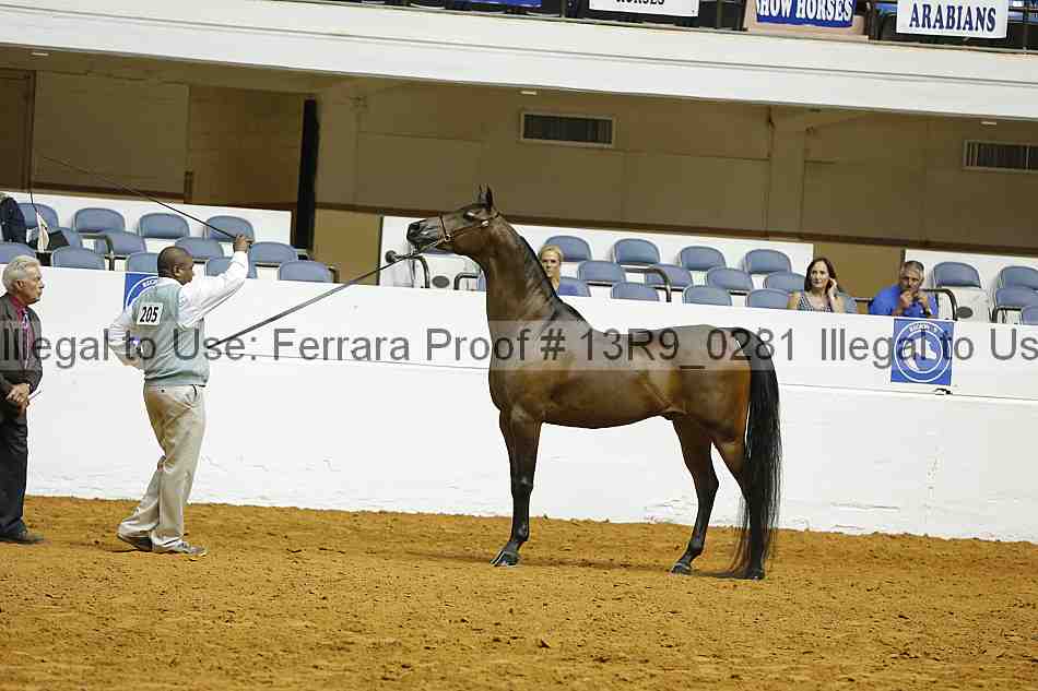 Proof Number 13r9_0281